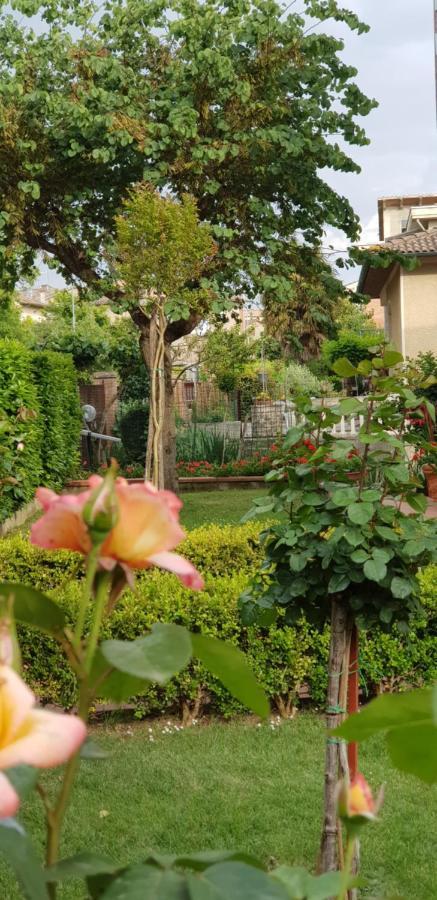 La Casa Di Gigliola Monticiano Exterior foto