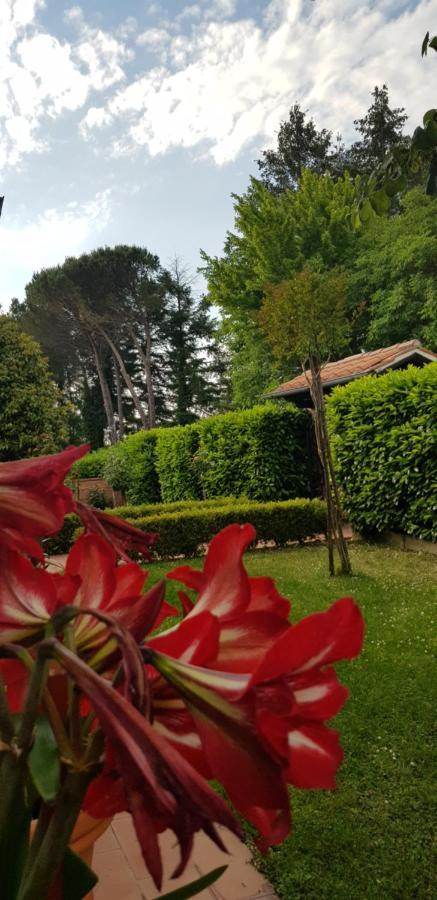 La Casa Di Gigliola Monticiano Exterior foto