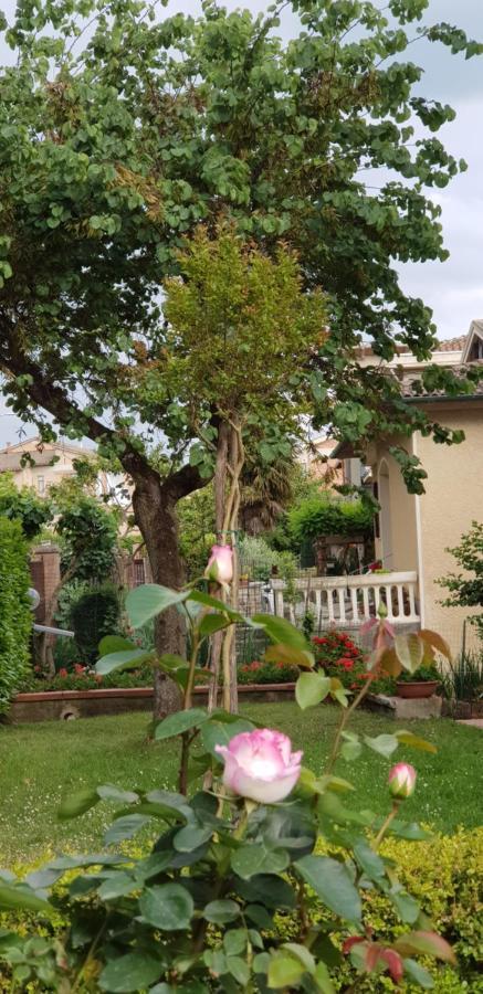 La Casa Di Gigliola Monticiano Exterior foto